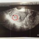 이현주산부인과의원 이미지