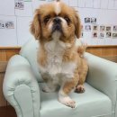 진해대로 이미지