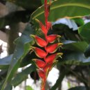 서울파피루스 이미지