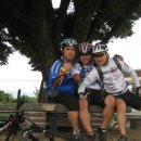 대안3리마을회관 이미지