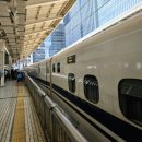 하라인터내셔널 | 일본 6박 7일 도쿄 &amp; 오사카 여행 일정, 가볼만한 곳 총정리