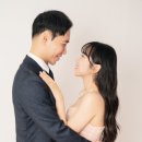 세미폭스 이미지