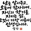 생에 가장 젊은 날의 축복 이미지