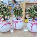 부일초등학교병설유치원 이미지