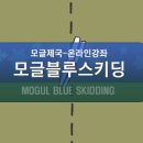 [동영상] 모글제국 온라인 강좌 - 블루스키딩 (mogul blue skidding) 이미지