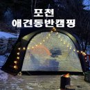 유식물원 | 반려견과 함께한 숲속 하루, 포천 유식물원 캠핑장 후기(feat. 장,단점)