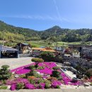 선학농장 이미지