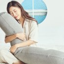 홈바디