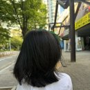 신지헤어샵