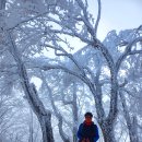 태백산 문수봉 눈산행 ( 산향산악회 ) 이미지