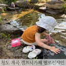 선샤인비치펜션 | 아기와 함께_청도 캠프닉 카페 헬로선샤인 계곡 이용후기