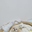 골든캐슬 쇼룸 이미지
