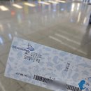 알뜰할인 | 쌍둥이들과 아쿠아플라넷 제주, 도민 50% 할인으로 알뜰하게 다녀온 후기