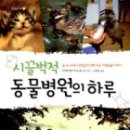 같은마음 동물병원 이미지