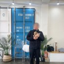 왕십리 고양이 위너펫 24시 | 24시부천강아지분양 크림푸들분양후기 강아지입양 (옥길동,중동)