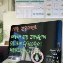 포케올데이 이미지