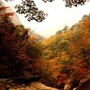 가을여행 갈만한 곳 - 한국관광 공사 추천 이미지