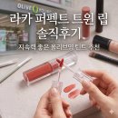 트루컬러타투 | 라카 퍼펙트 트윈 립 솔직후기 지속력 좋은 올리브영 틴트 추천