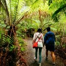 트레이닝타임 이미지