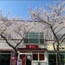 양자강 네이버블로그