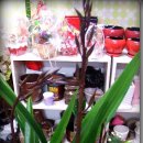 정원병설유치원 이미지