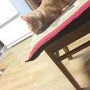 미랑미랑 이미지