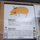의령돼지꼬리 이미지