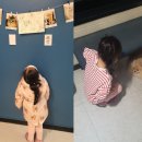 멍브로 | [성남시 태평동] 강아지, 고양이 카페 멍브로(퍼펫)