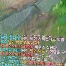바이요요 이미지
