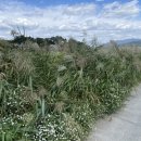 초포경로당 이미지