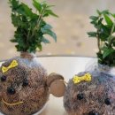 평동초교병설유치원 이미지