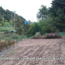 흥부네부동산공인중개사사무소 이미지