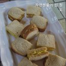 자연생활의집청도