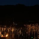 마산소방서 화장실 | 2024 함안 낙화 놀이 후기 (티켓팅, 교통편, 시야, 주차, 행사장배치도, 먹거리, 즐길거리,점화시간)