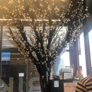 아비꼬 부천역점 이미지