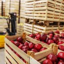 순익농장 이미지