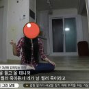똥탁 조작 캡쳐로 노답이라 욕먹은 제보자들 나온 '아내' 내가 다시 캡쳐 이미지