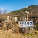 소신흑염소 이미지