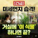 21C 세탁소 네이버블로그