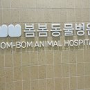 봄봄동물병원 | 군산 봄봄동물병원 진료 후기(feat. 고양이친화병원)
