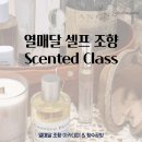 원데이) 룸스프레이로 즐기는 향기 | 인천 셀프 조향 생활 향제품 원데이 클래스｜디퓨저, 핸드크림, 룸 스프레이