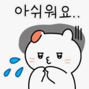 (주)오토정보통신 | 청도 벚꽃 캠핑 화이트 오토캠핑장 정보 | 명당자리·아이동반·얼리체크인 꿀팁 총정리