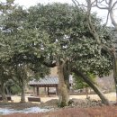 동백산방 이미지