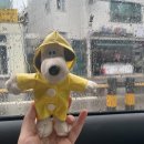 아성청국장 | [청주/운천동] 건강한 추천 운리단길 밥집 “아성청국장” 내돈내산 맛나게먹은후기