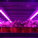 첨단농장 이미지