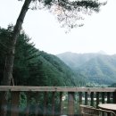 서나와할아버지통나무집 이미지