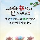 양지헬스 이미지