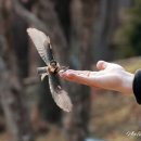 신구대학교식물원 갤러리 우촌 이미지