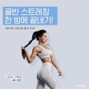 범계스트레칭 이미지