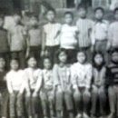 모정화로 이미지